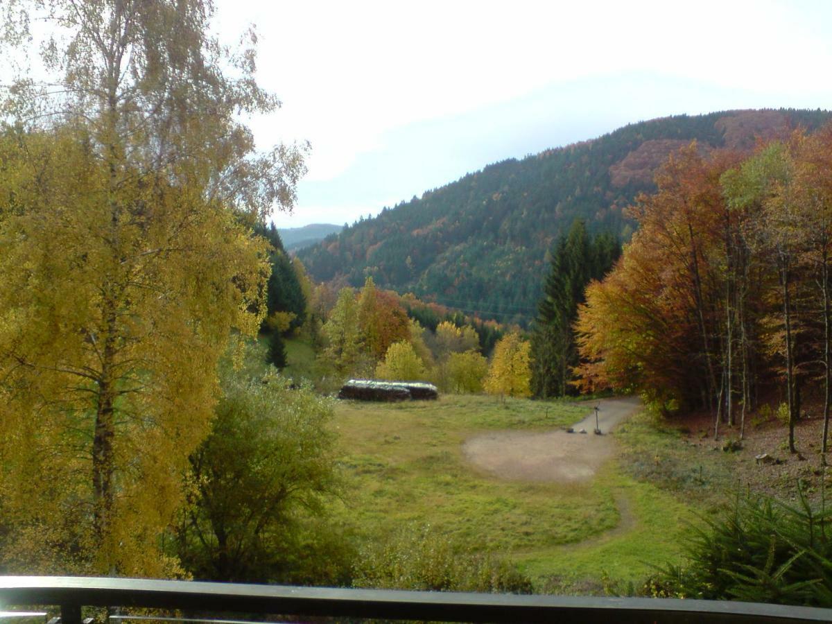 Haus Wiesental Kleines Wiesental Exterior photo